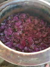 Load image into Gallery viewer, Holi Water - Pure Hydrosol Body Mist
