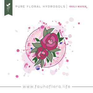 Holi Water - Pure Hydrosol Body Mist