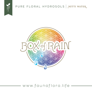 Box of Rain - Pure Hydrosol Body Mist